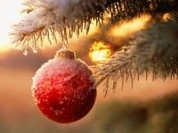 ПОЗДРАВЛЯЕМ С НОВЫМ ГОДОМ И РОЖДЕСТВОМ !